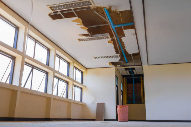 Best Carpet water damage restoration  in Pittston, PA