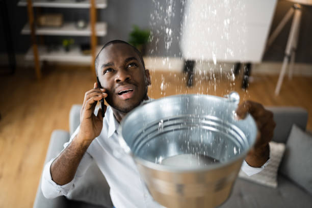 Best 24/7 water damage repair  in Pittston, PA
