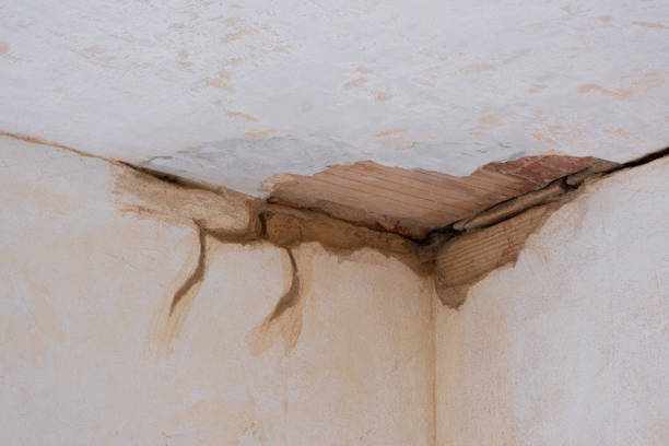 Best Carpet water damage restoration  in Pittston, PA