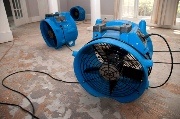 Best Mold removal after water damage  in Pittston, PA