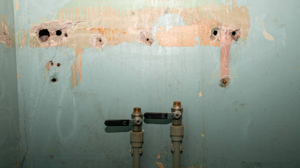 Best Flood restoration services  in Pittston, PA