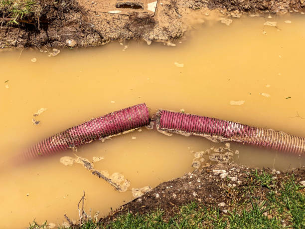 Carpet water damage restoration in Pittston, PA