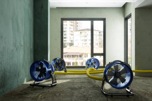 Reliable Pittston, PA Water damage restoration Solutions