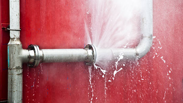 Best Flooded house restoration  in Pittston, PA